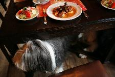 Restaurantbesuche machen...