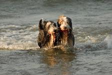 Schwimmen. Gern zu zweit.