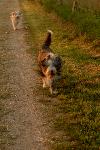 Ganz vorn: Immer Butz!